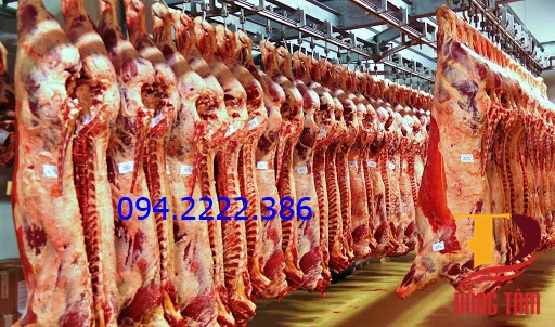 Thi công kho lạnh bảo quản thịt tại nhà hàng Anh em Sinh đôi thành phố Bắc Ninh